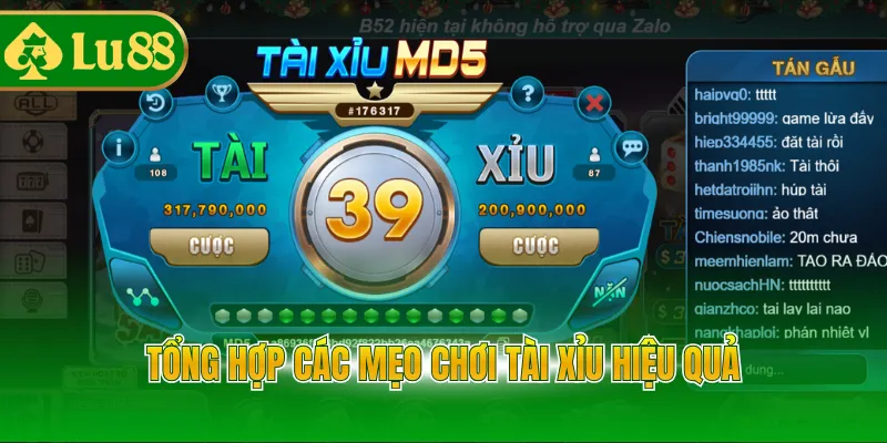 Tổng hợp các mẹo chơi tài xỉu hiệu quả